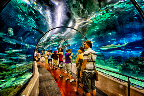 https://mdw-travel-data-us-east-1.s3.amazonaws.com/img/country/Spain/Aquarium-Barcelona/img_03.jpg
