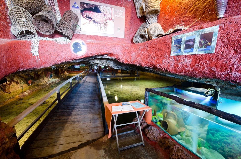 https://mdw-travel-data-us-east-1.s3.amazonaws.com/img/country/Spain/Aquarium-Cap-Blanc/img_00.jpg