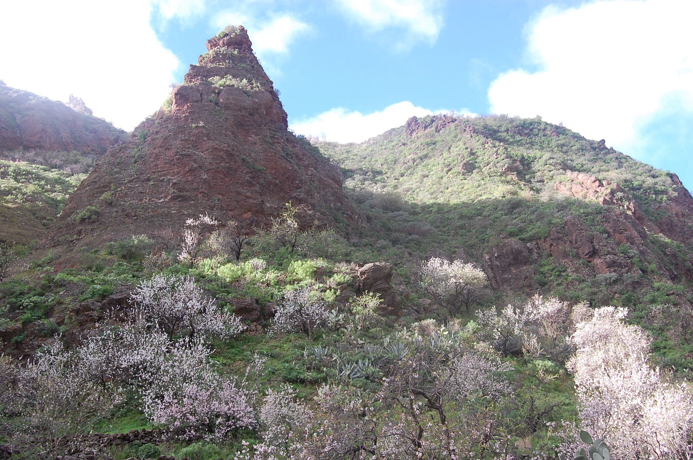 https://mdw-travel-data-us-east-1.s3.amazonaws.com/img/country/Spain/Barranco-de-Guayadeque/img_04.jpg