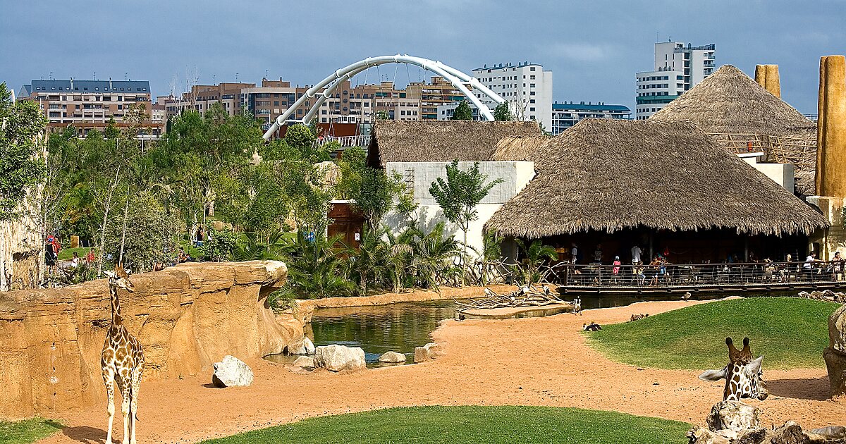 https://mdw-travel-data-us-east-1.s3.amazonaws.com/img/country/Spain/Bioparc-Valencia/img_02.jpg