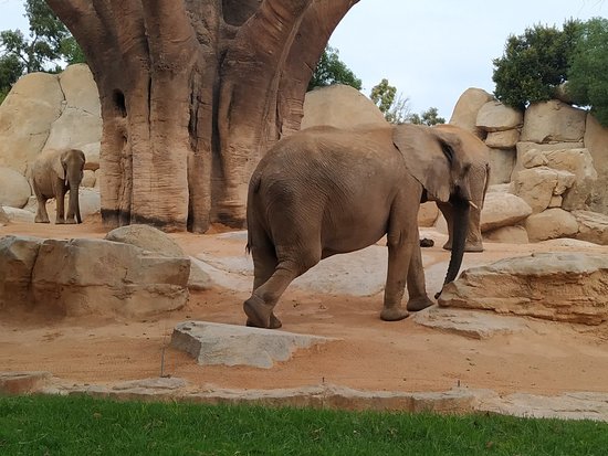 https://mdw-travel-data-us-east-1.s3.amazonaws.com/img/country/Spain/Bioparc-Valencia/img_03.jpg
