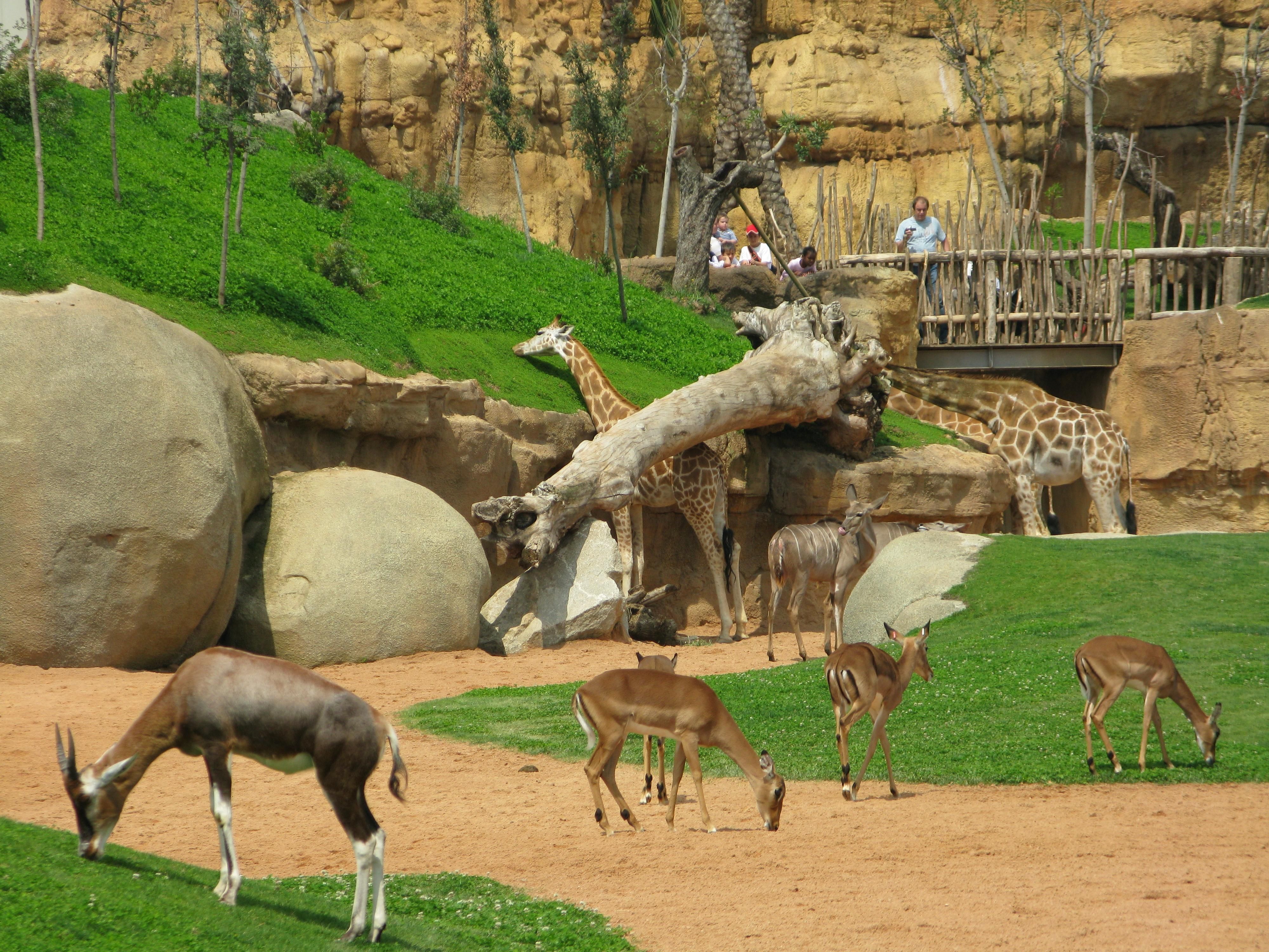 https://mdw-travel-data-us-east-1.s3.amazonaws.com/img/country/Spain/Bioparc-Valencia/img_04.jpg
