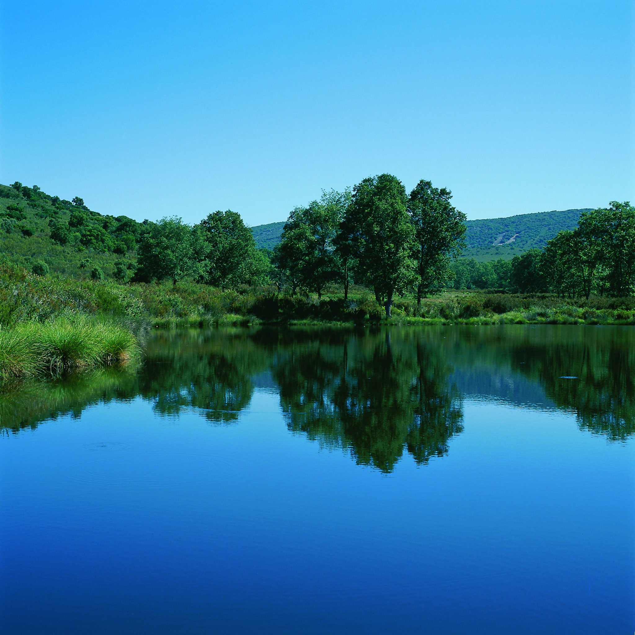 https://mdw-travel-data-us-east-1.s3.amazonaws.com/img/country/Spain/Cabaneros-National-Park/img_02.jpg