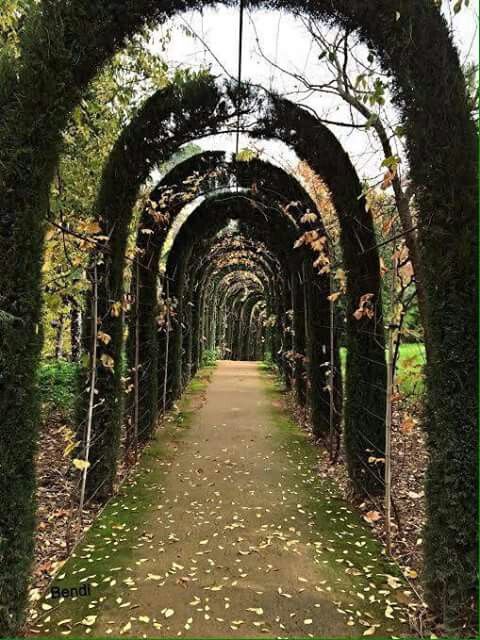 https://mdw-travel-data-us-east-1.s3.amazonaws.com/img/country/Spain/Carmen-de-los-Martires/img_01.jpg