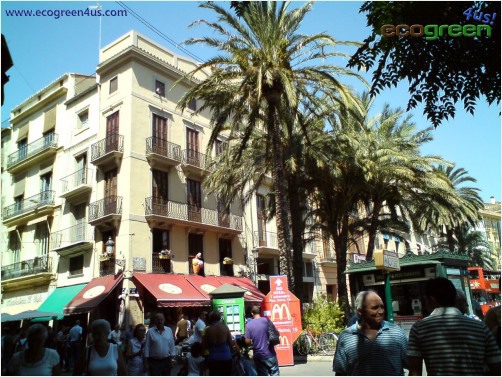 https://mdw-travel-data-us-east-1.s3.amazonaws.com/img/country/Spain/Central-Market/img_02.jpg