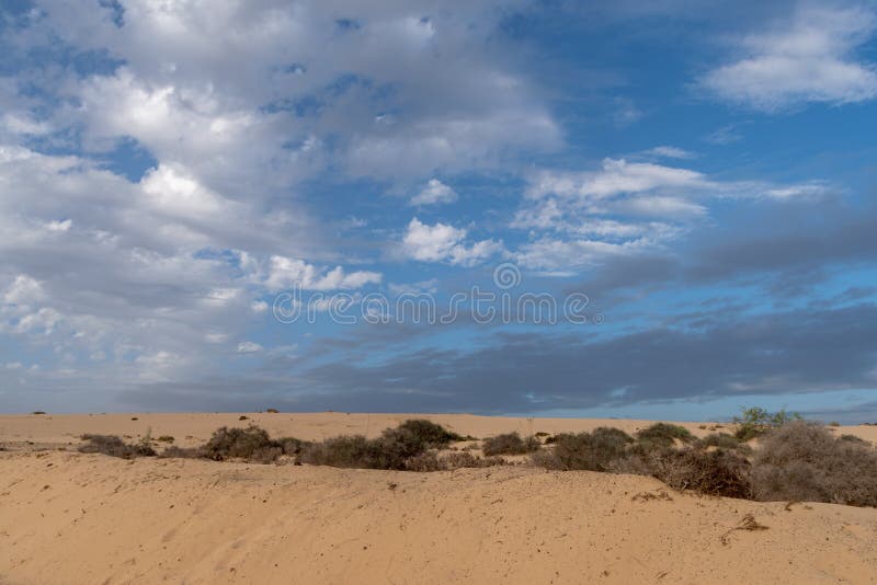 https://mdw-travel-data-us-east-1.s3.amazonaws.com/img/country/Spain/Corralejo-Dunes-Natural-Park/img_01.jpg