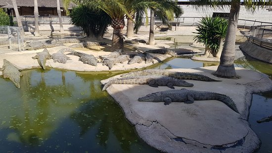 https://mdw-travel-data-us-east-1.s3.amazonaws.com/img/country/Spain/Crocodile-Park/img_02.jpg