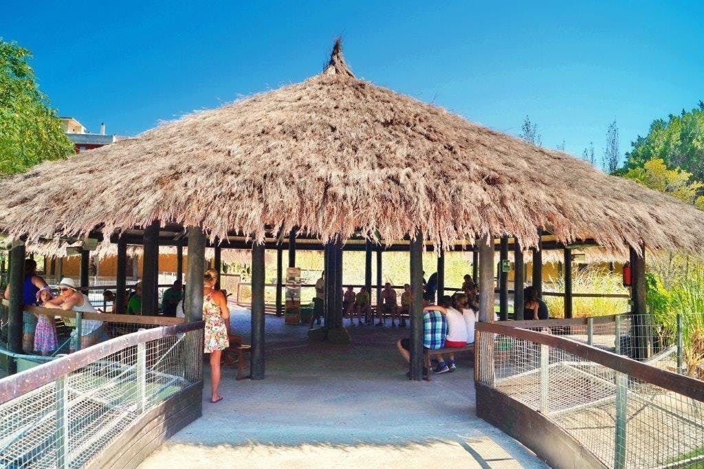 https://mdw-travel-data-us-east-1.s3.amazonaws.com/img/country/Spain/Crocodile-Park/img_04.jpg