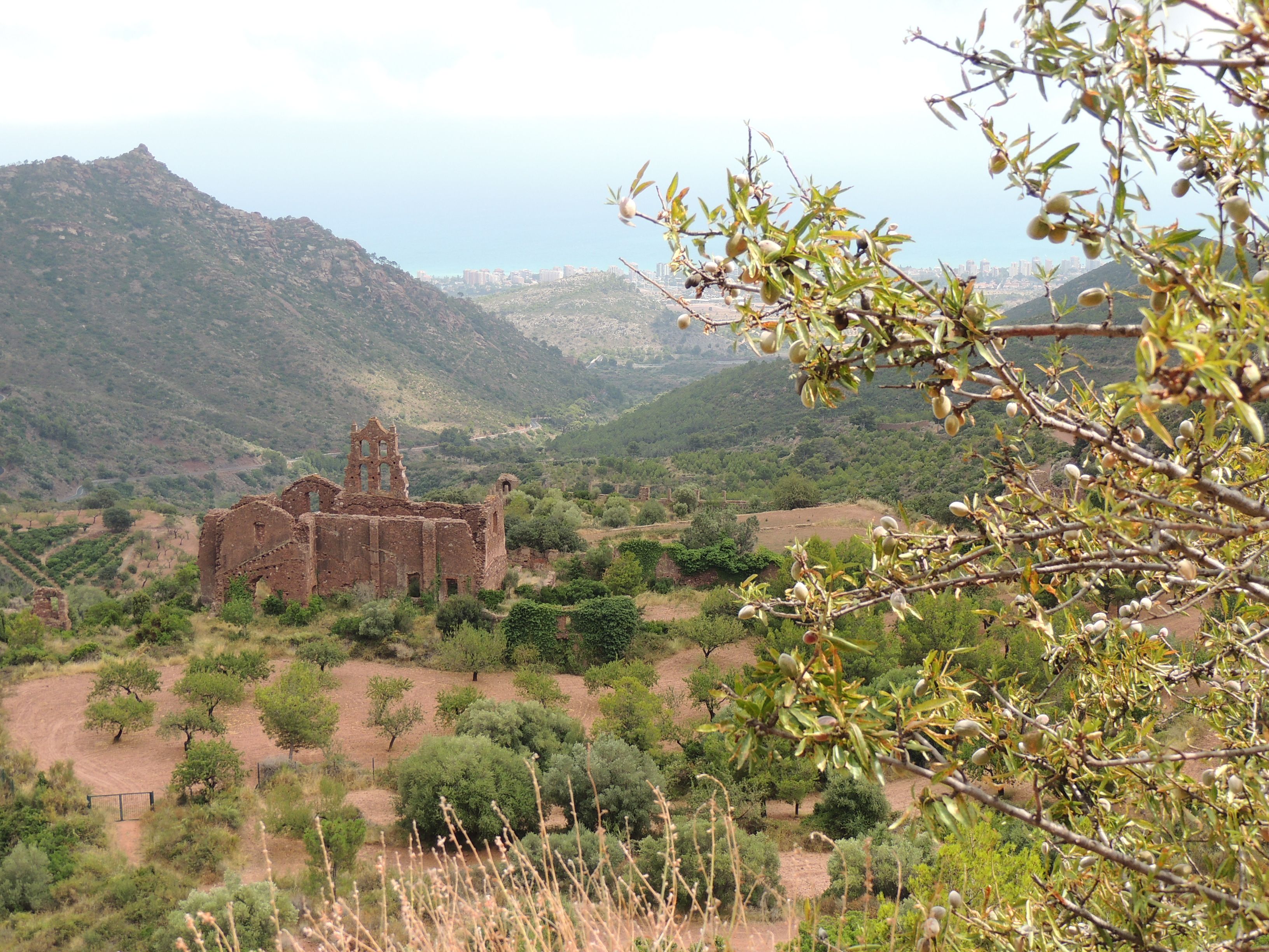 https://mdw-travel-data-us-east-1.s3.amazonaws.com/img/country/Spain/Desert-de-les-Palmes-Natural-Park/img_01.jpg