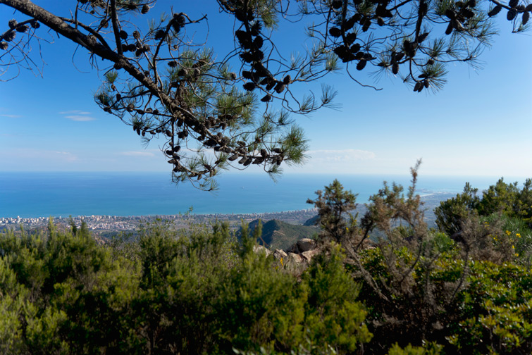 https://mdw-travel-data-us-east-1.s3.amazonaws.com/img/country/Spain/Desert-de-les-Palmes-Natural-Park/img_03.jpg