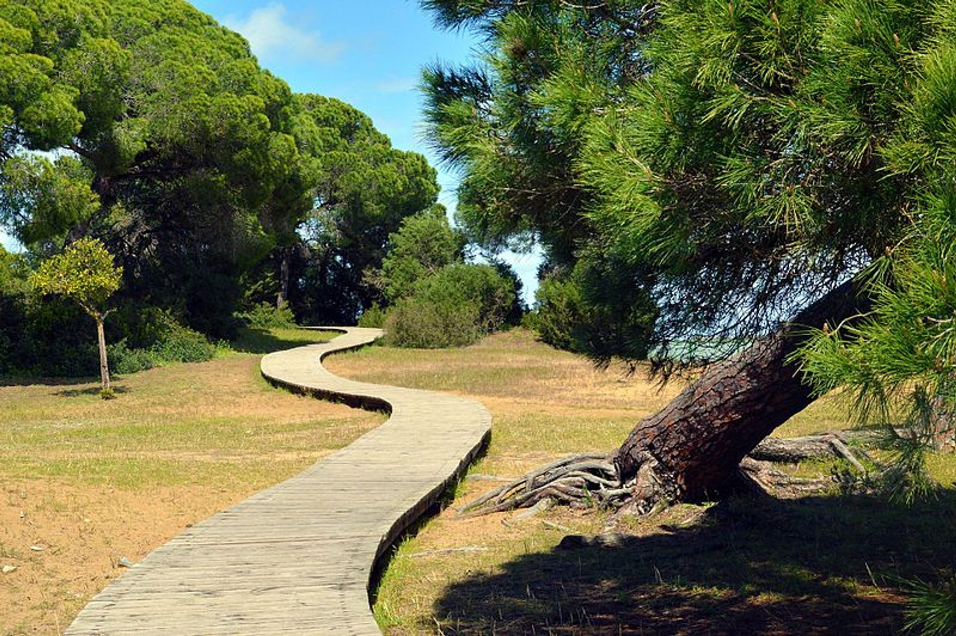 https://mdw-travel-data-us-east-1.s3.amazonaws.com/img/country/Spain/Donana-National-Park/img_01.jpg