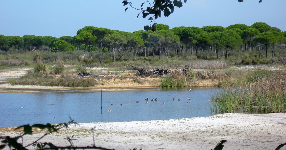 https://mdw-travel-data-us-east-1.s3.amazonaws.com/img/country/Spain/Donana-National-Park/img_02.jpg
