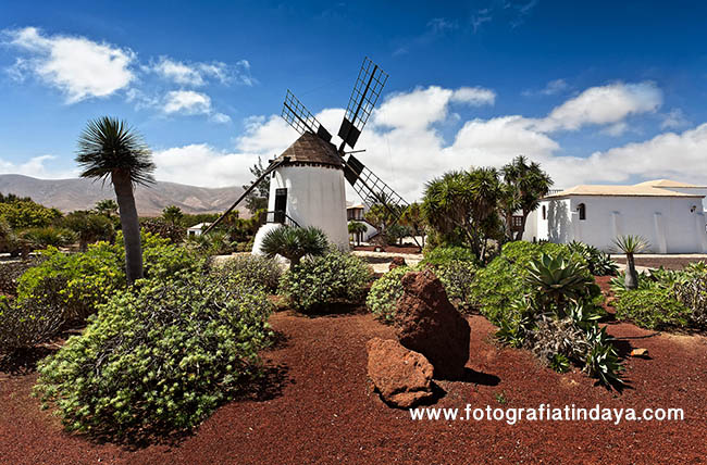 https://mdw-travel-data-us-east-1.s3.amazonaws.com/img/country/Spain/El-Molino-de-Antigua/img_04.jpg