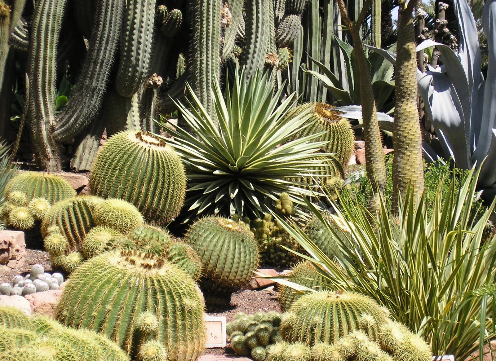 https://mdw-travel-data-us-east-1.s3.amazonaws.com/img/country/Spain/Elche-Palm-Grove-Museum/img_05.jpg