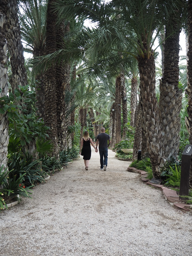 https://mdw-travel-data-us-east-1.s3.amazonaws.com/img/country/Spain/Elche-Palm-Grove/img_01.jpg