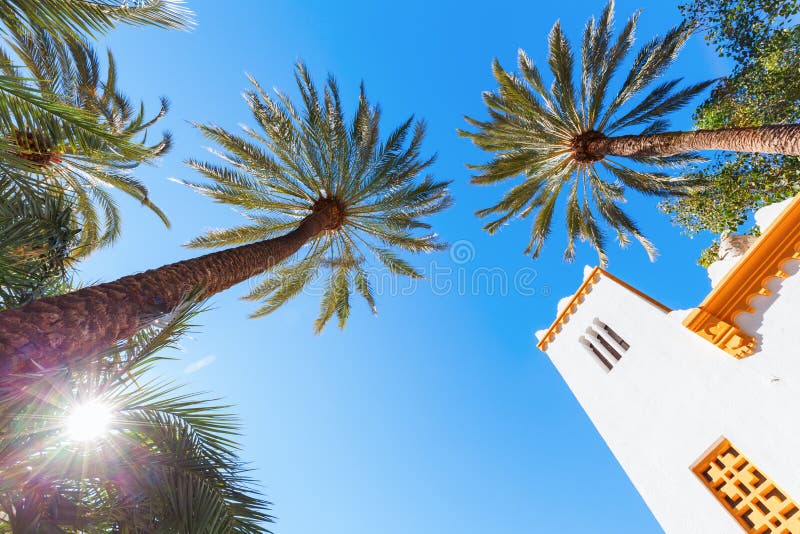 https://mdw-travel-data-us-east-1.s3.amazonaws.com/img/country/Spain/Elche-Palm-Grove/img_02.jpg