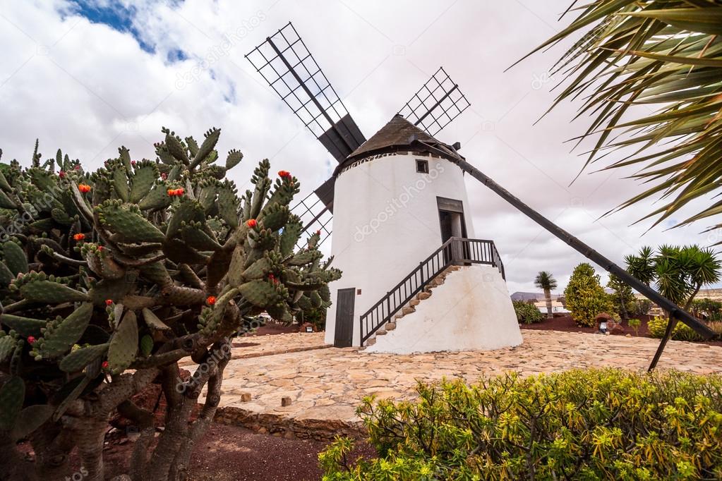 https://mdw-travel-data-us-east-1.s3.amazonaws.com/img/country/Spain/Fuerteventura-Museum/img_01.jpg