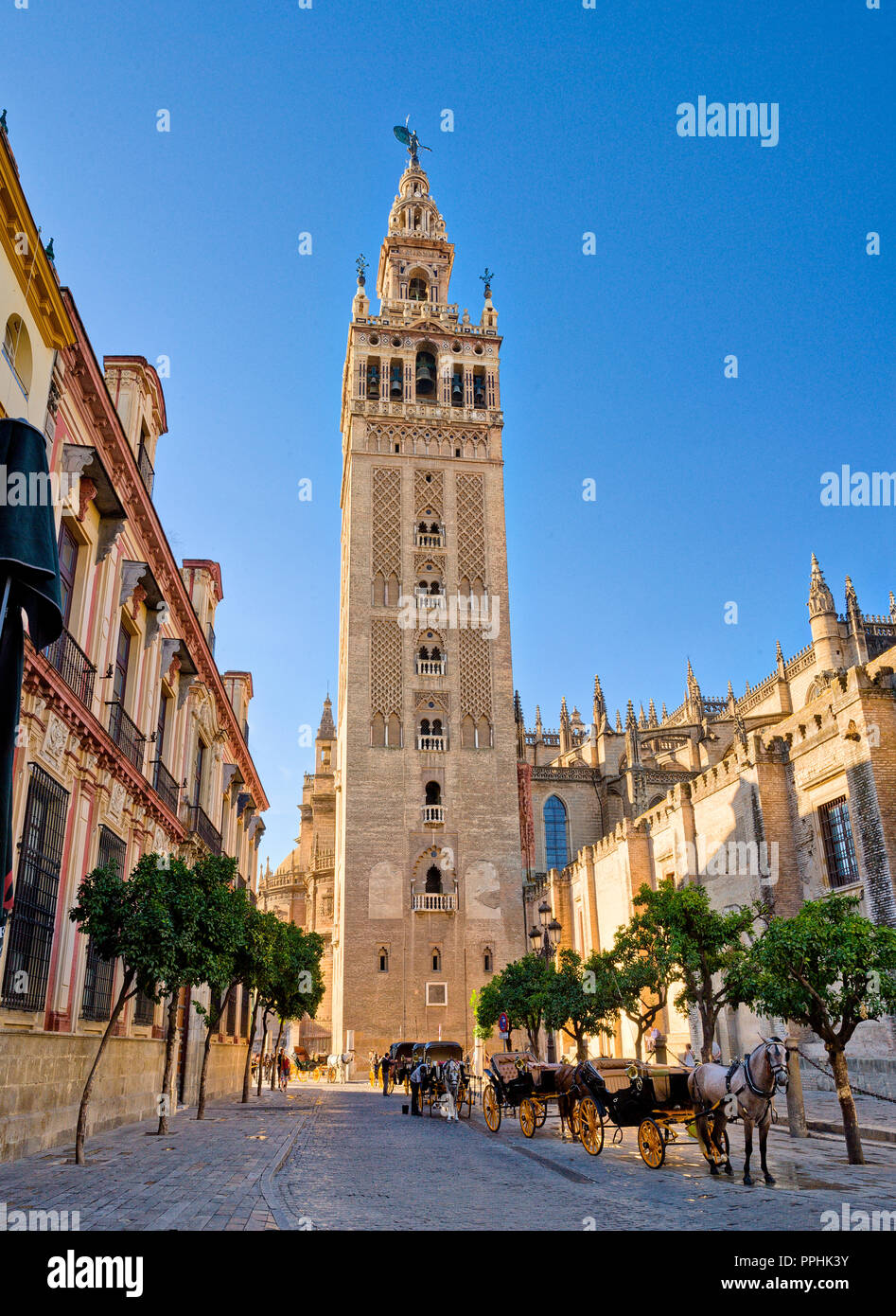 https://mdw-travel-data-us-east-1.s3.amazonaws.com/img/country/Spain/Giralda/img_03.jpg