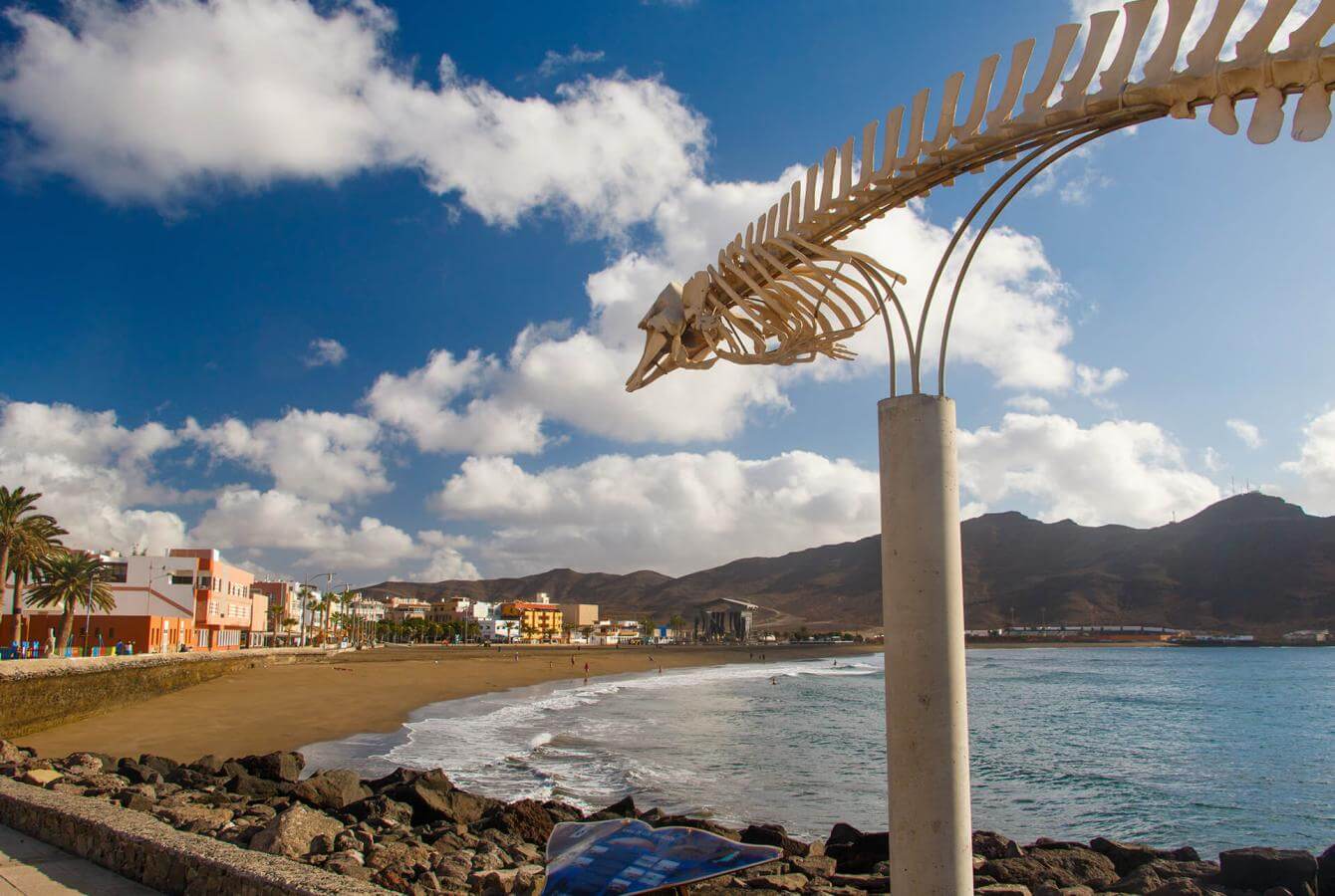 https://mdw-travel-data-us-east-1.s3.amazonaws.com/img/country/Spain/Gran-Tarajal-Beach/img_01.jpg