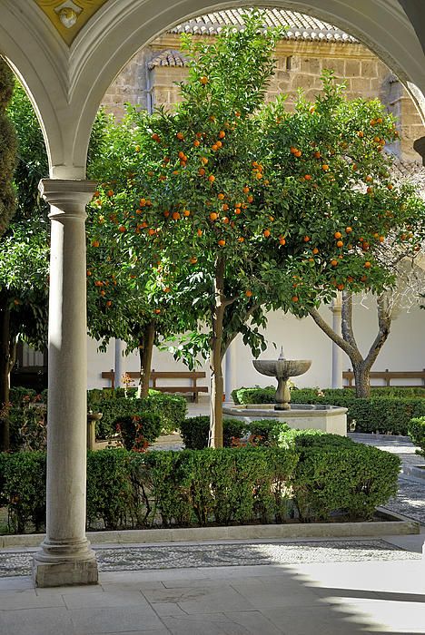 https://mdw-travel-data-us-east-1.s3.amazonaws.com/img/country/Spain/Granada-Charterhouse/img_02.jpg