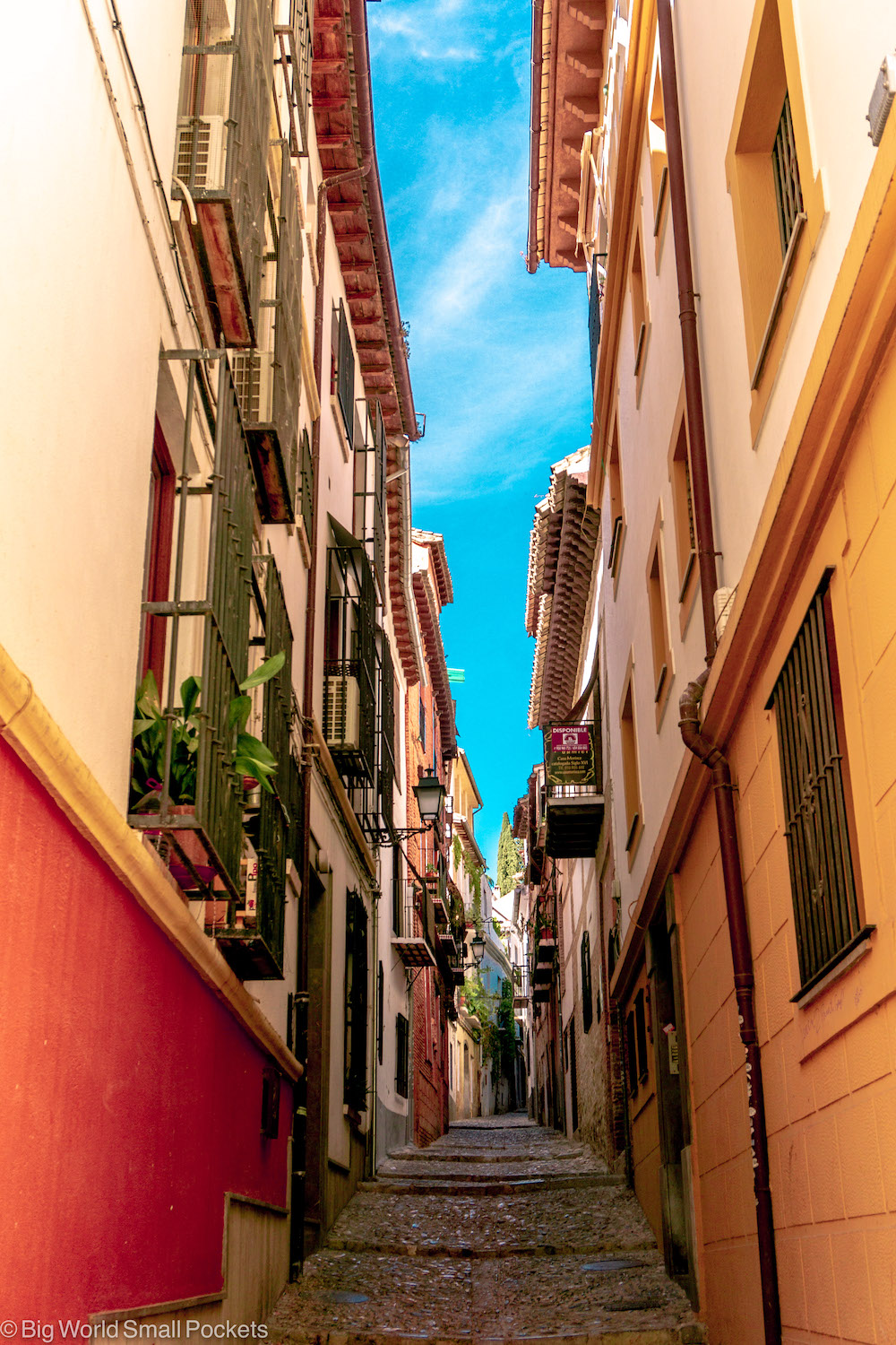 https://mdw-travel-data-us-east-1.s3.amazonaws.com/img/country/Spain/Granada-Charterhouse/img_04.jpg