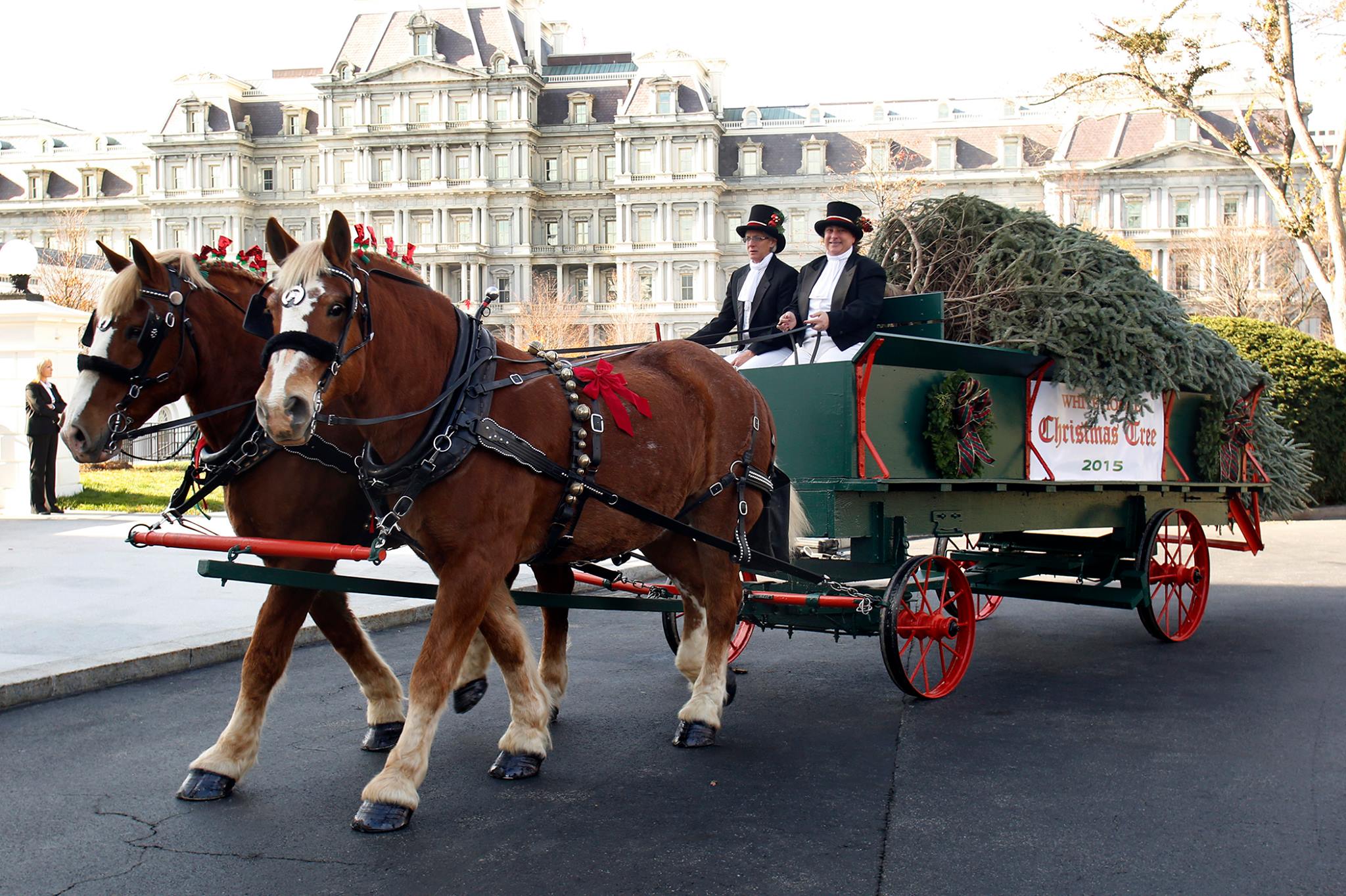 https://mdw-travel-data-us-east-1.s3.amazonaws.com/img/country/Spain/Horse-drawn-Carriage-Rides/img_01.jpg