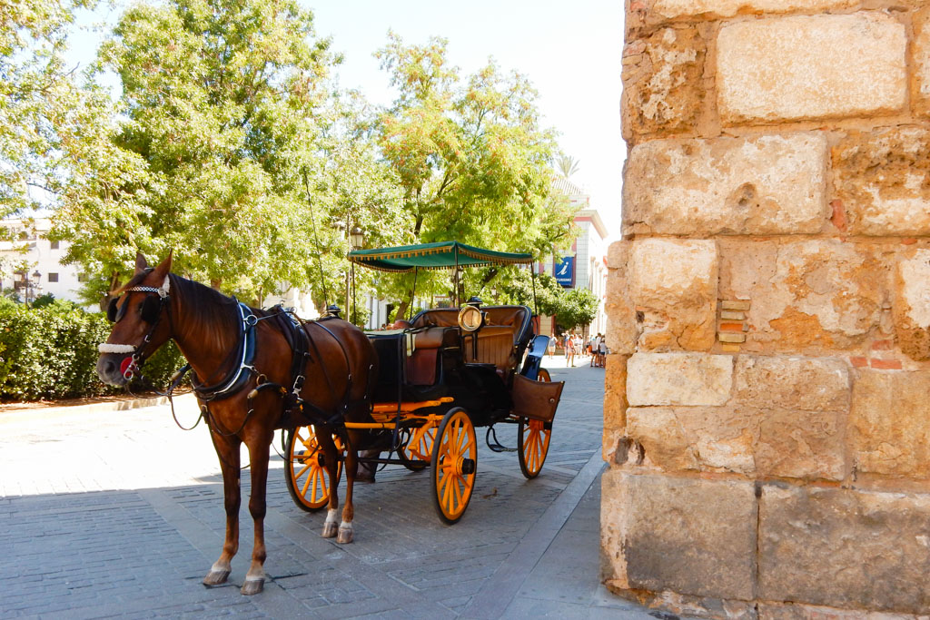 https://mdw-travel-data-us-east-1.s3.amazonaws.com/img/country/Spain/Horse-drawn-Carriage-Rides/img_02.jpg