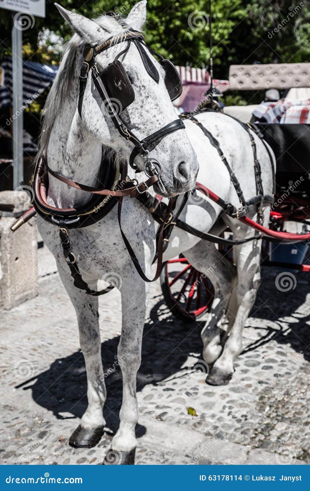 https://mdw-travel-data-us-east-1.s3.amazonaws.com/img/country/Spain/Horse-drawn-Carriage-Rides/img_03.jpg