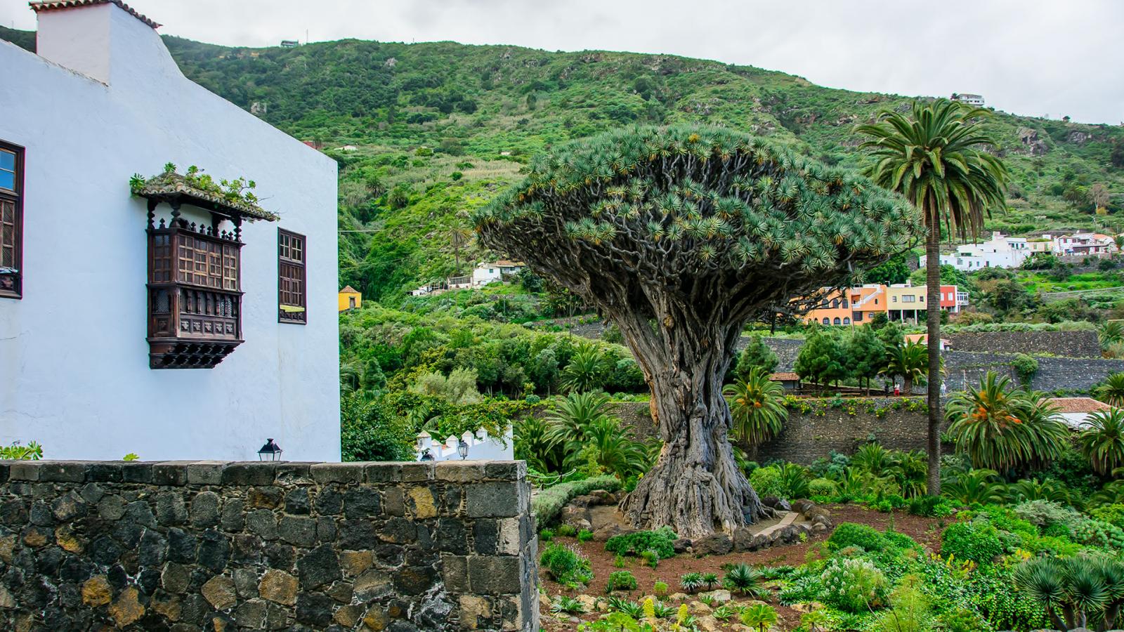 https://mdw-travel-data-us-east-1.s3.amazonaws.com/img/country/Spain/Icod-de-los-Vinos/img_00.jpg