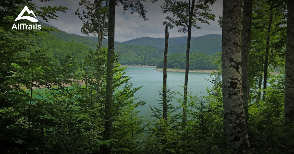 https://mdw-travel-data-us-east-1.s3.amazonaws.com/img/country/Spain/Irati-Forest/img_01.jpg