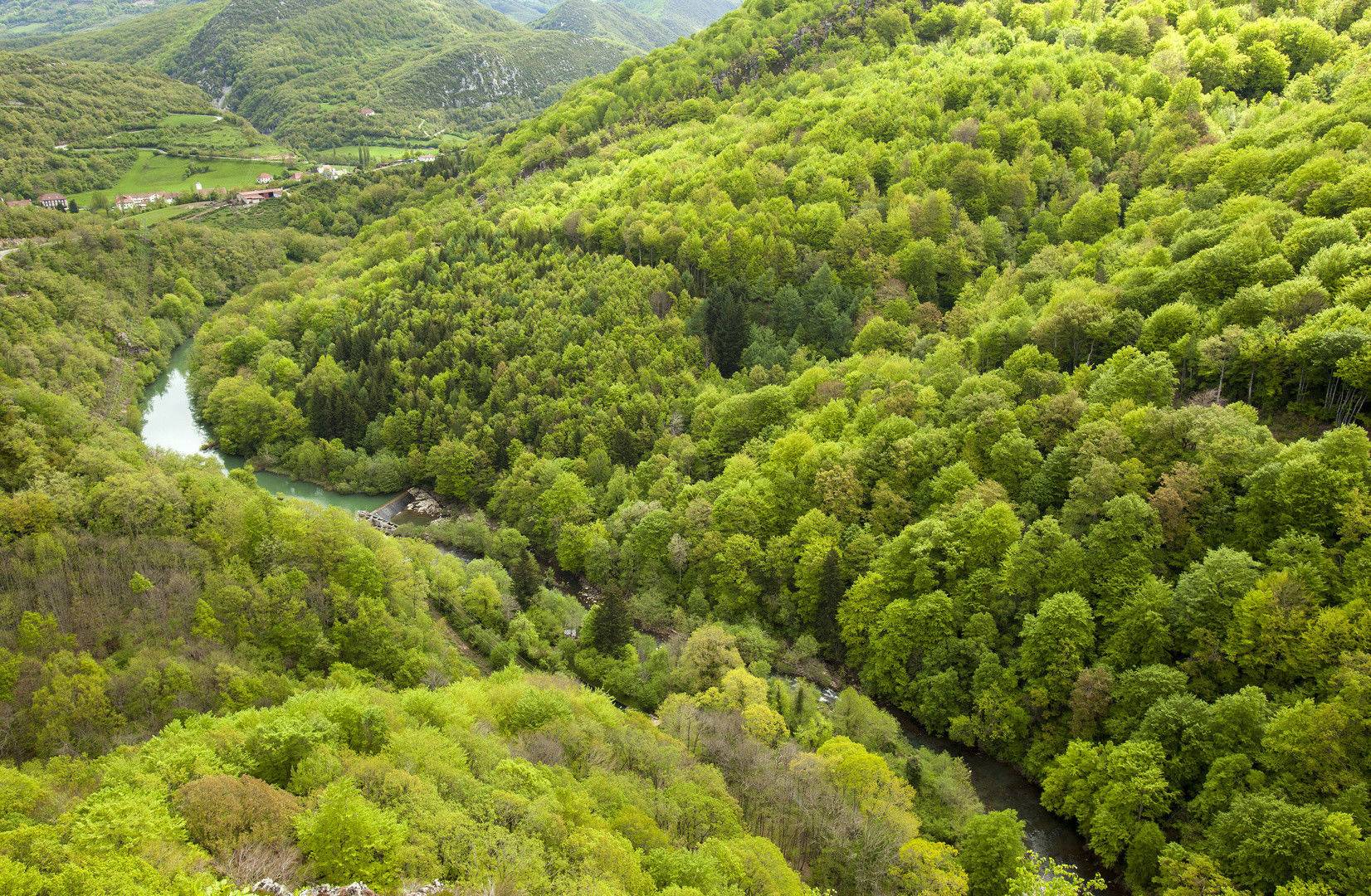 https://mdw-travel-data-us-east-1.s3.amazonaws.com/img/country/Spain/Irati-Forest/img_03.jpg