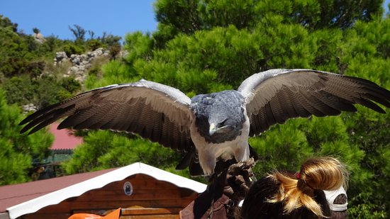 https://mdw-travel-data-us-east-1.s3.amazonaws.com/img/country/Spain/Jardin-de-las-Aguilas/img_02.jpg
