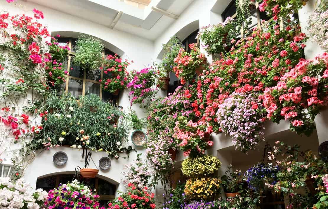 https://mdw-travel-data-us-east-1.s3.amazonaws.com/img/country/Spain/Los-Patios-de-Cordoba/img_00.jpg