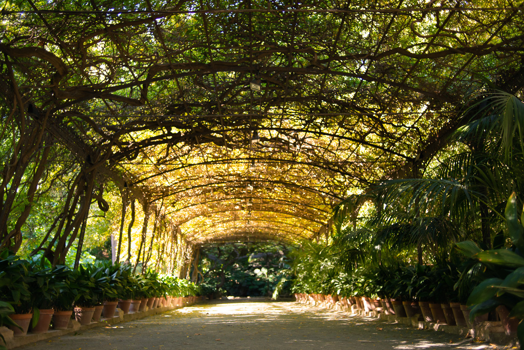 https://mdw-travel-data-us-east-1.s3.amazonaws.com/img/country/Spain/Malaga-Botanical-Gardens/img_01.jpg