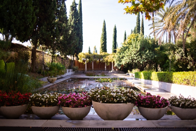 https://mdw-travel-data-us-east-1.s3.amazonaws.com/img/country/Spain/Malaga-Botanical-Gardens/img_02.jpg