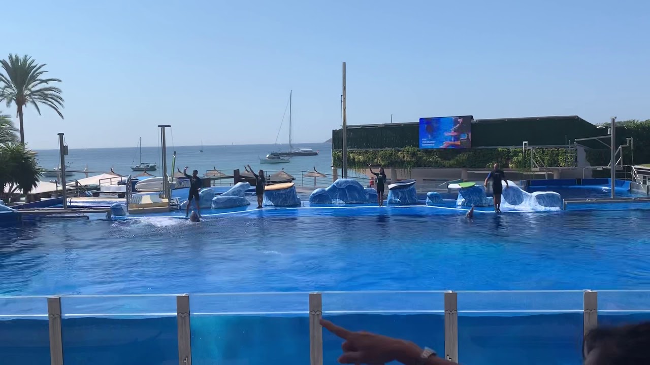 https://mdw-travel-data-us-east-1.s3.amazonaws.com/img/country/Spain/Marineland-Mallorca/img_01.jpg