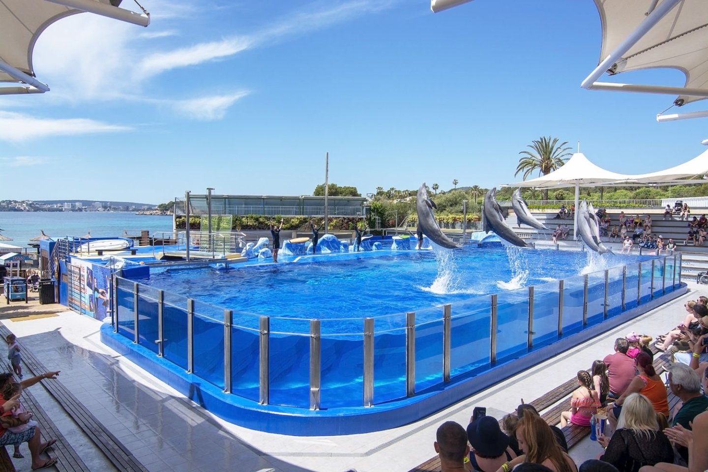 https://mdw-travel-data-us-east-1.s3.amazonaws.com/img/country/Spain/Marineland-Mallorca/img_02.jpg