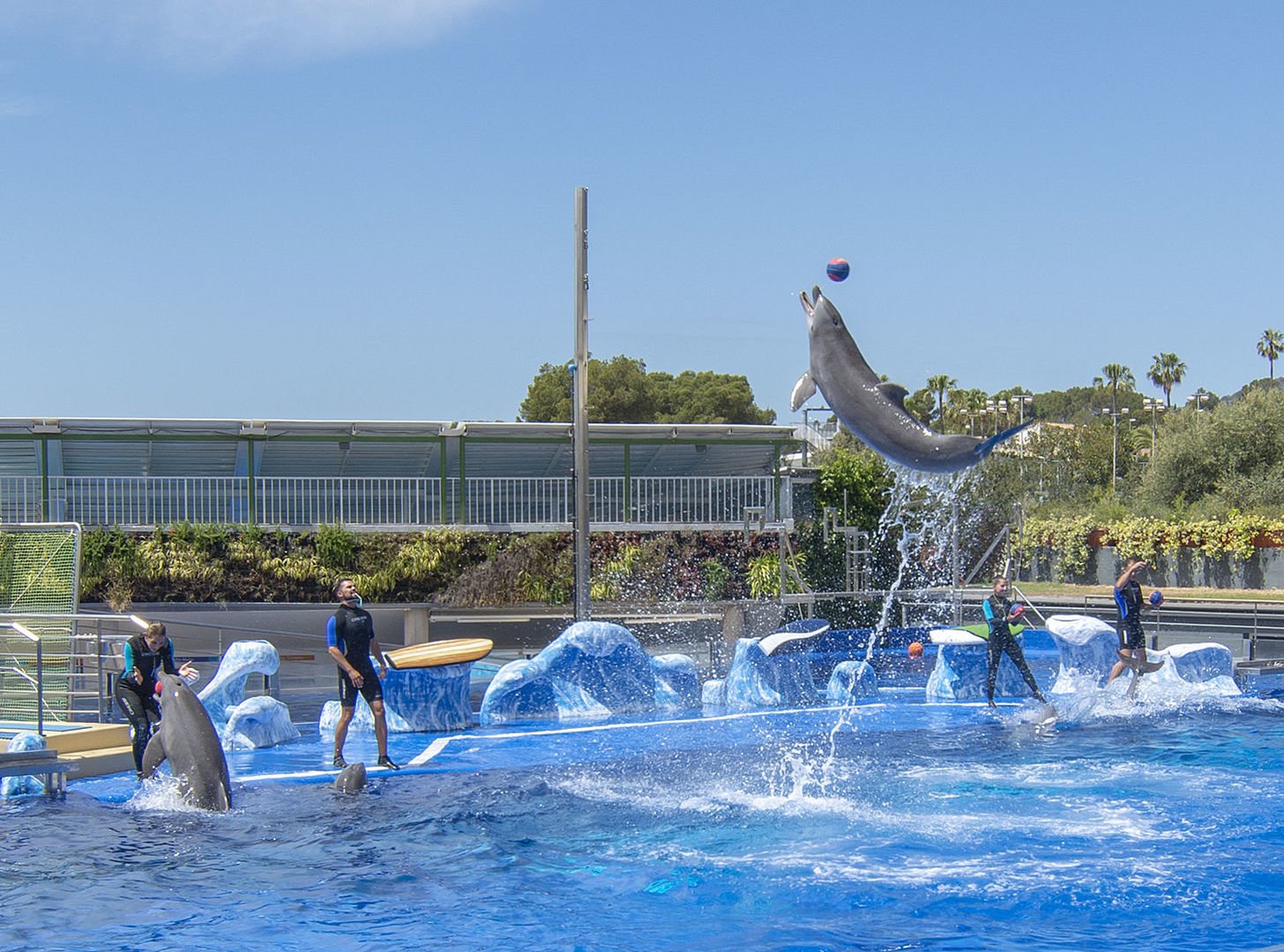 https://mdw-travel-data-us-east-1.s3.amazonaws.com/img/country/Spain/Marineland-Mallorca/img_03.jpg