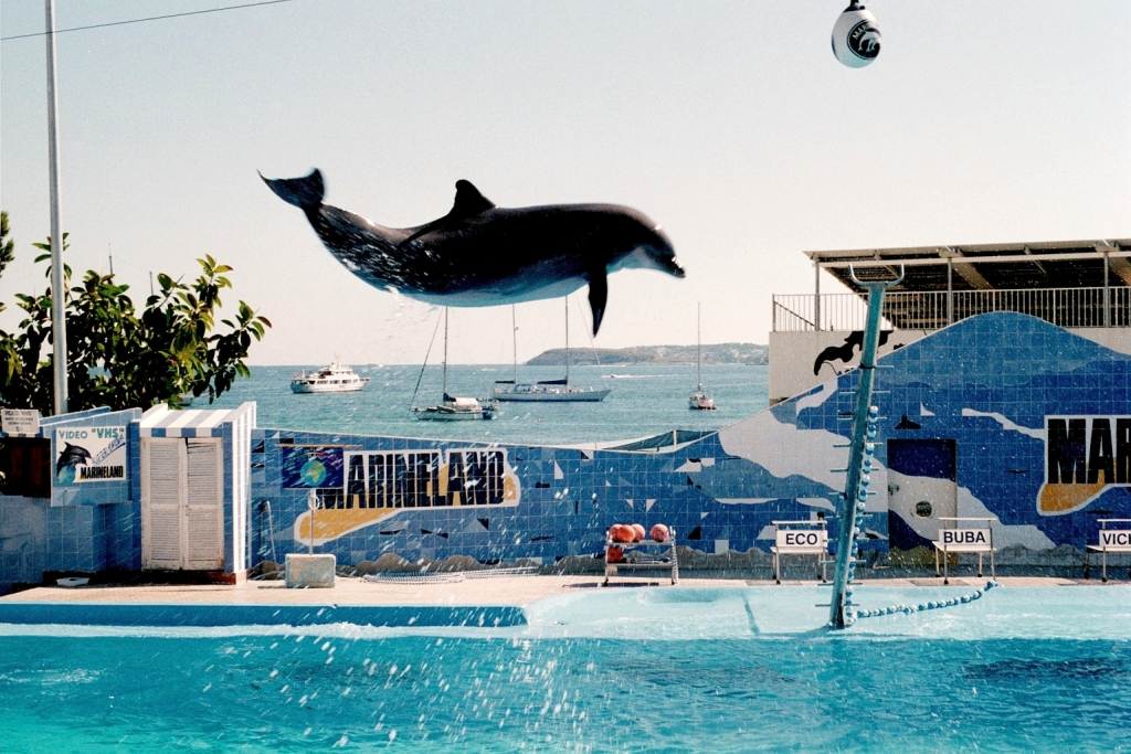 https://mdw-travel-data-us-east-1.s3.amazonaws.com/img/country/Spain/Marineland-Mallorca/img_04.jpg