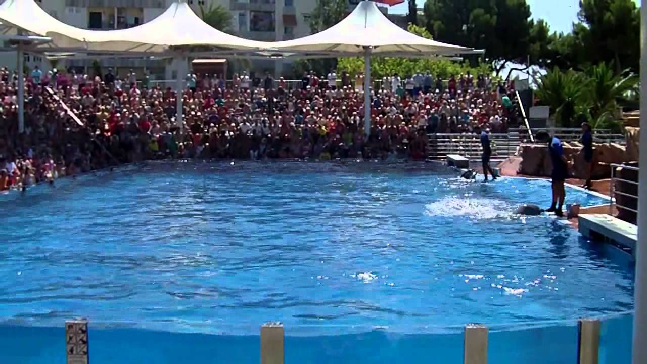https://mdw-travel-data-us-east-1.s3.amazonaws.com/img/country/Spain/Marineland-Mallorca/img_05.jpg