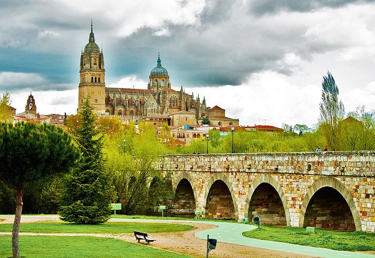 https://mdw-travel-data-us-east-1.s3.amazonaws.com/img/country/Spain/New-Cathedral-of-Salamanca/img_02.jpg