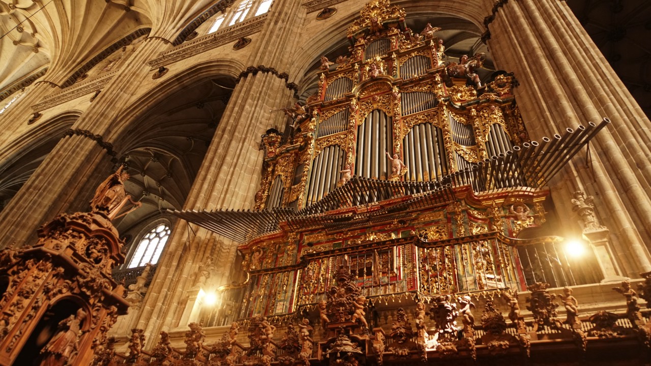 https://mdw-travel-data-us-east-1.s3.amazonaws.com/img/country/Spain/New-Cathedral-of-Salamanca/img_05.jpg