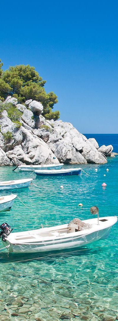 https://mdw-travel-data-us-east-1.s3.amazonaws.com/img/country/Spain/Nikki-Beach-Marbella/img_05.jpg