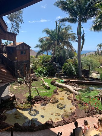 https://mdw-travel-data-us-east-1.s3.amazonaws.com/img/country/Spain/Oasis-Park/img_05.jpg