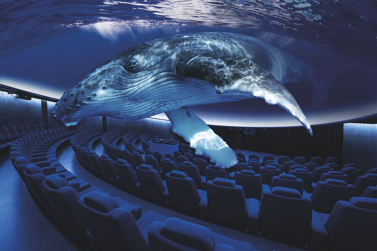 https://mdw-travel-data-us-east-1.s3.amazonaws.com/img/country/Spain/Palma-Aquarium-Beach/img_03.jpg