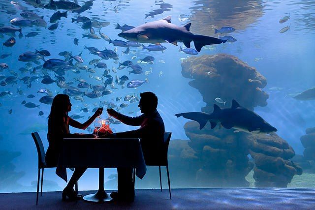 https://mdw-travel-data-us-east-1.s3.amazonaws.com/img/country/Spain/Palma-Aquarium-Beach/img_04.jpg