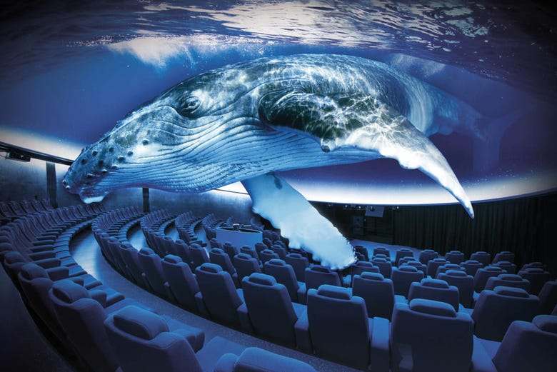 https://mdw-travel-data-us-east-1.s3.amazonaws.com/img/country/Spain/Palma-Aquarium/img_01.jpg