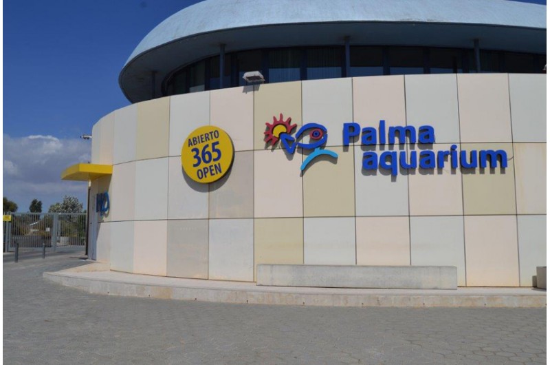 https://mdw-travel-data-us-east-1.s3.amazonaws.com/img/country/Spain/Palma-Aquarium/img_03.jpg