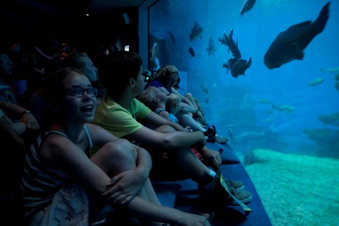 https://mdw-travel-data-us-east-1.s3.amazonaws.com/img/country/Spain/Palma-Aquarium/img_05.jpg