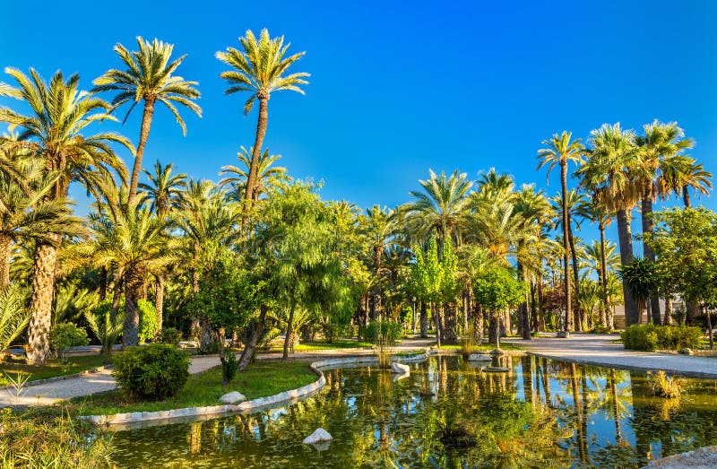 https://mdw-travel-data-us-east-1.s3.amazonaws.com/img/country/Spain/Palmeral-of-Elche/img_03.jpg